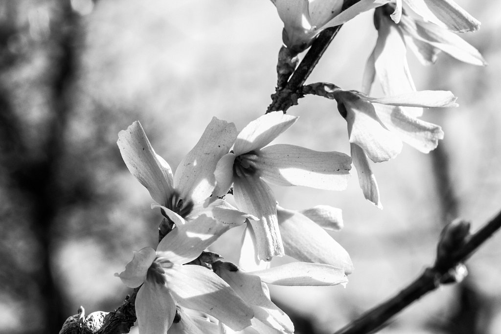 20130519-IMG-2998-2.jpg