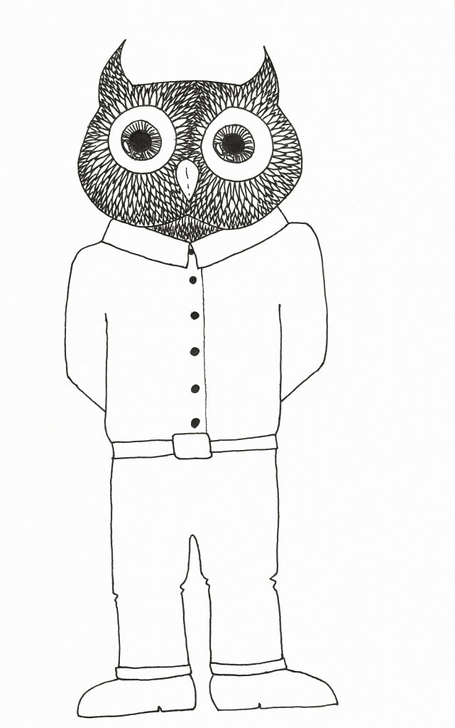 Mr. Owl